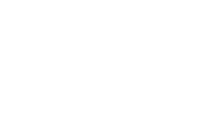 Logo Texas Restaurant